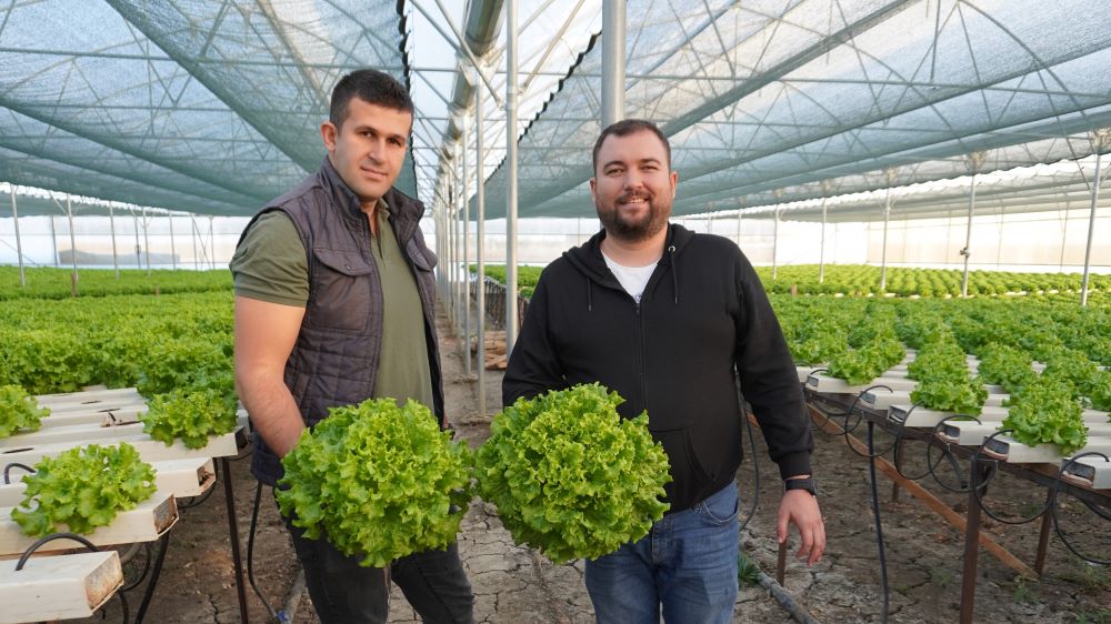 Değirmenköy’ün ilk, Trakya’nın en büyük “Topraksız Tarım” tesisi